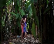 Красивая индианка занимается сексом на банановой плантации