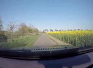 Немка едет со спермой на лице