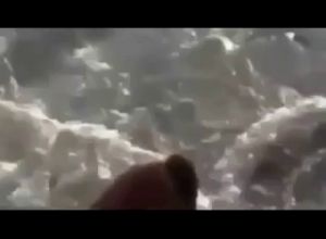 Скрытая камера на пляже для нудистов