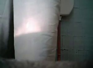 Подсмотрел за писающей леди