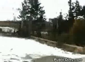 Зимниы минет