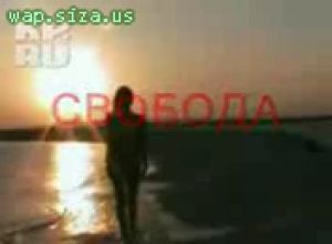 Голосуй Членом