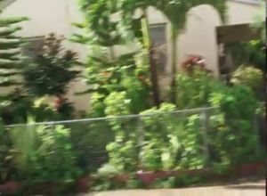 Негры дерут симпатичную арабку