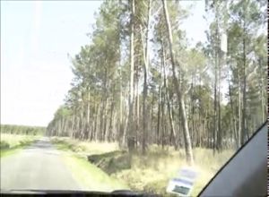 Зрелая толстуха мастурбирует в машине