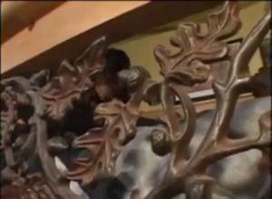 Индийская красотка верхом на черном пеннисе