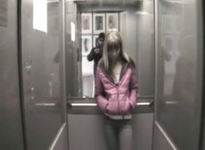Молодая девушка сосет в лифте на коленях